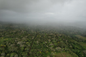 Wall Mural - fog over tropical jungle