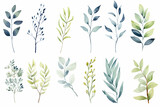 Fototapeta Kwiaty - The digital watercolor illustration of various green, blue, and brown leaves with flowers plants patterns for decoration isolated on a white background, generated by AI.