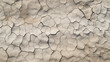 closeup shot of the cracked stone texture
