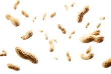 Peeled Peanuts Levitate On A White Background, Generative AI