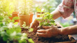 Leinwandbild Motiv Gardening: An elderly person tends to plants with a caregiver's guidance