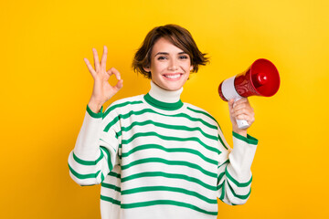 Sticker - Photo of pretty confident lady wear striped pullover showing okey gesture rising bullhorn isolated yellow color background