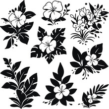 Set Of Tropical Floral Leaf Flower Illustration Aloha Vector Plant Hawaii Hibiscus Blossom Drawing