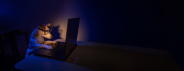 Adorable digital nerd dog with glasses using computer laptop at night with teal orange light. Secret hacker programmer or addicted gamer. Long horizontal banner