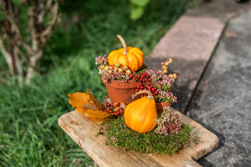 Natürliche Dekoration im Herbst mit kleinen Kürbissen rustikal gestaltet, Herbstdeko, natürlich dekorieren