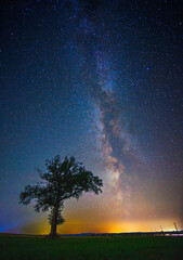 Wall Mural - Night landscape with colorful Milky Way and a tree, autumn sky