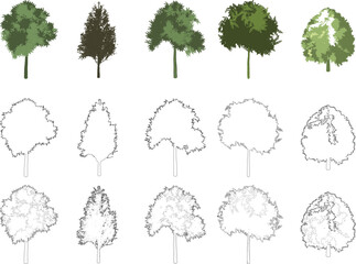 Tree elevation line silhouettes