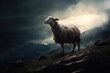 One Missing Sheep at Night. Bible Concept for Jesus Looking for Lost Sheep.