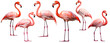 Set with pink tropical bird flamingoes, isolated, generative ai