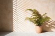 Textured light beige wall with potted fern in front of a window shadow minimalistic background. Generative AI