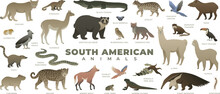 South American Animals Set. Including Llama, Alpaca, Capybara, Anteater, Toucan, Ocelot. Vector Illustration Of Wildlife. Wild Animal Collection Isolated On White Background.