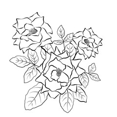 Wall Mural - hand drawn line art rose bouquet decoration