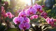 Pink orchids against a tropical background that is fuzzy.