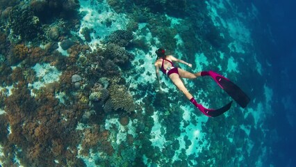 Canvas Print - Woman freediver swims underwater along the vivid coral reef in the Komodo National Park in Indonesia