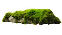 Green Moss Meadow On A Rock. Side View. Isolated On Transparent Background.