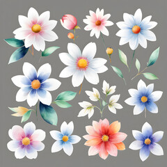 Wall Mural - watercolor flower clipart set on white or black background. ai generative