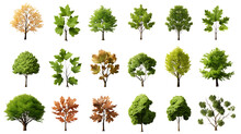 Overhead Tree Collection Isolated On Transparent Or White Background, PNG