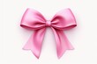 pink bow isolated on white background