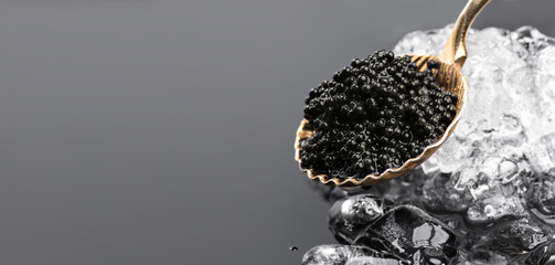 Wall Mural - Black Caviar in golden spoon on ice. High quality natural sturgeon black caviar close-up. Delicatessen. Texture of expensive luxury caviar over gray background 