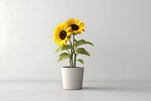 Sunflower In A Pot 3d Rendering Style