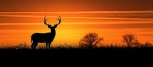 Texas Farmland Sunset Silhouette Of Whitetail Deer Buck With Copyspace For Text
