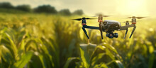 A Drone Flying Over A Cornfield, Smart Tech Used For Monitoring The Fields In Agriculture, Automation And Innovation Through Artificial Intelligence