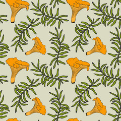 Chanterelle mushroom and moss pattern, hand drawn contour doodle.