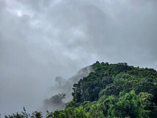 View of the forest mountains and cloud