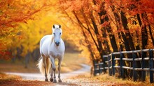 AI Generated Illustration Of A White Horse On A Dirt Road In Autumn