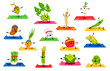 © Buch&Bee - Cartoon vegetable characters on yoga fitness sport