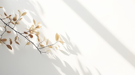 Sticker - Light background with harsh shadows of tree branch. Aesthetic white background with empty place. Summer light backdrop. Nature and shadows mock up. Simple mockup. Poster presentation with shadows