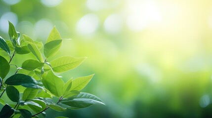 Aufkleber - Amazing nature view of green leaf on blurred greenery background in garden and sunlight with copy space using as background natural green plants landscape, ecology, fresh wallpaper concept.