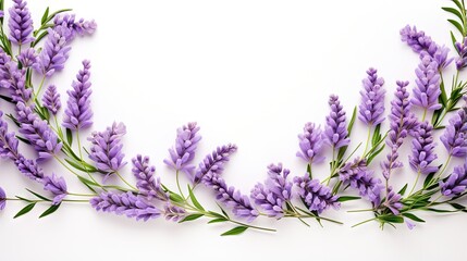 Poster - Lavender flowers and leaves frame and border isolated on white background. Top view, flat lay. Creative layout. Floral design element. Healthy eating and alternative medicine concept