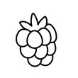 Hand drawn line raspberries fruit berries outline icon vector doodle illustration, suitable for coloring book, logo, illustration, sticker, cover