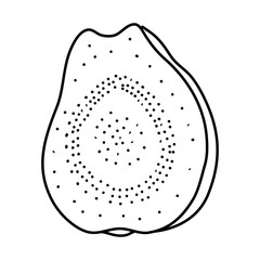 Poster - Linear Guava. Hand drawn Guava fruits isolated on white background. doodle style design for coloring book.