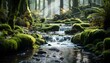 waterfall in the forest. Green forest in the spring. Waterfall in the summer. Lush greenery and blue sky. Beautiful nature and plants