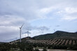 aerogeneradores, energías renovables, eólica