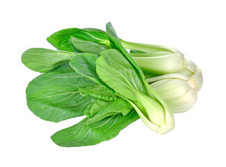 Wall Mural - Bok choy (chinese cabbage) transparent png