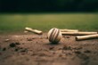 Cricket wickets and ball in a sports arena. Generative AI