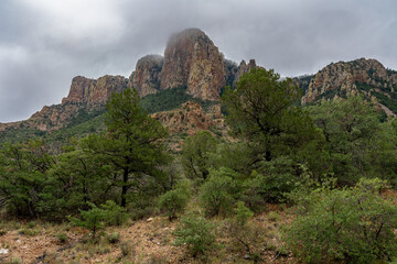 Wall Mural - Chisos Mountains