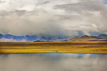 Poster - Autumn in polar tundra