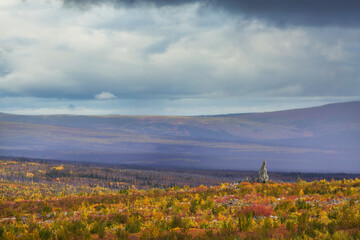 Wall Mural - Autumn in polar tundra