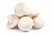 Champignon Mushrooms Isolated On White Background.