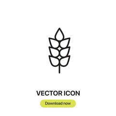 Leinwandbilder - Wheat icon vector. Linear-style sign for mobile concept and web design. Wheat symbol illustration. Pixel vector graphics - Vector.