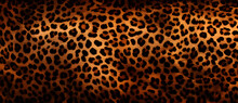 Leopard Skin Print Background