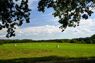 Canvas Print - agricultural landscape with stubble, straw bales and trees during summer