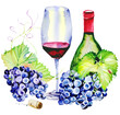 Wino kieliszek i winogrona ilustracja