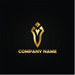 © MdOsman - Luxurious and modern brand logo design