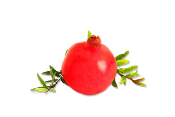 Wall Mural - fresh whole pomegranate fruit isolated with leaves,cut out on transparent background,PNG format