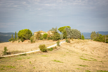 Wall Mural - Via Francigena - a hamlet next to Torrenieri (Montalcino), Province of Siena, Tuscany, Italy